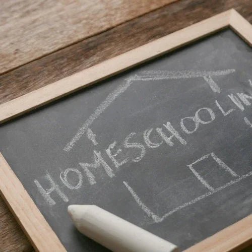 Homeschooling Ideas for Kids Between 2-3 Years - NESTA TOYS