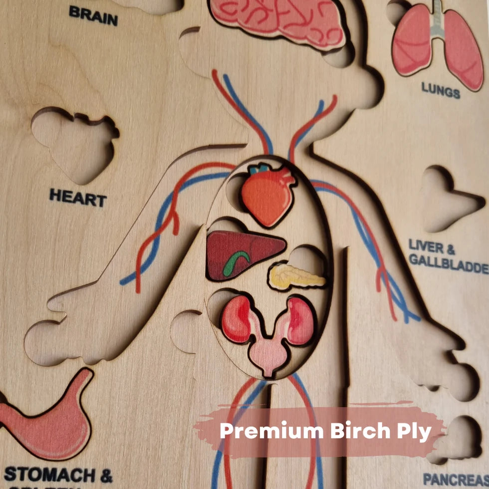 Human Body | Internal Organs Wooden Puzzle - nestatoys