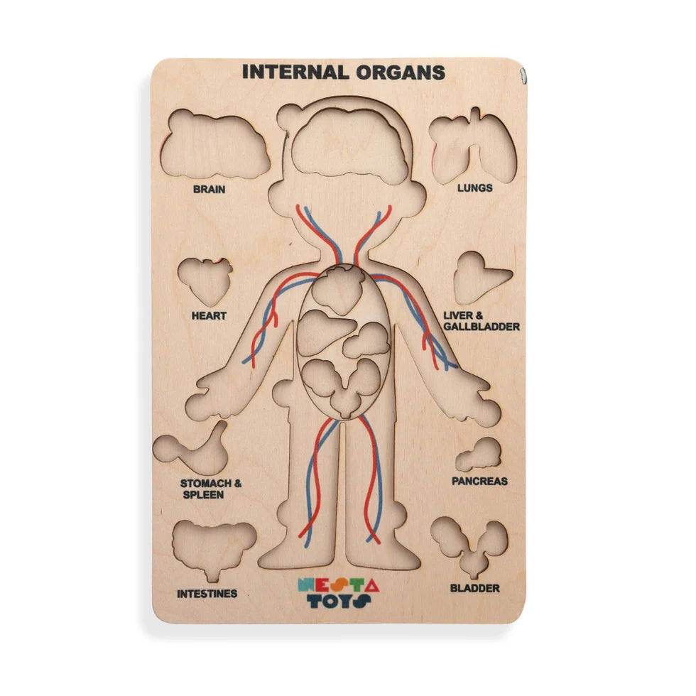 Human Body | Internal Organs Wooden Puzzle - nestatoys