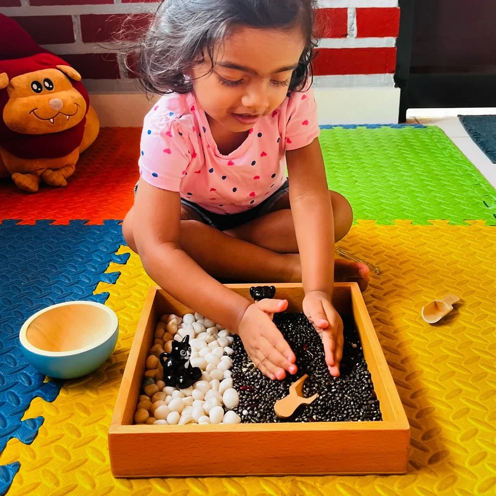Wooden Montessori Tray | Sand Writing & Sensory Learning Toy - nestatoys