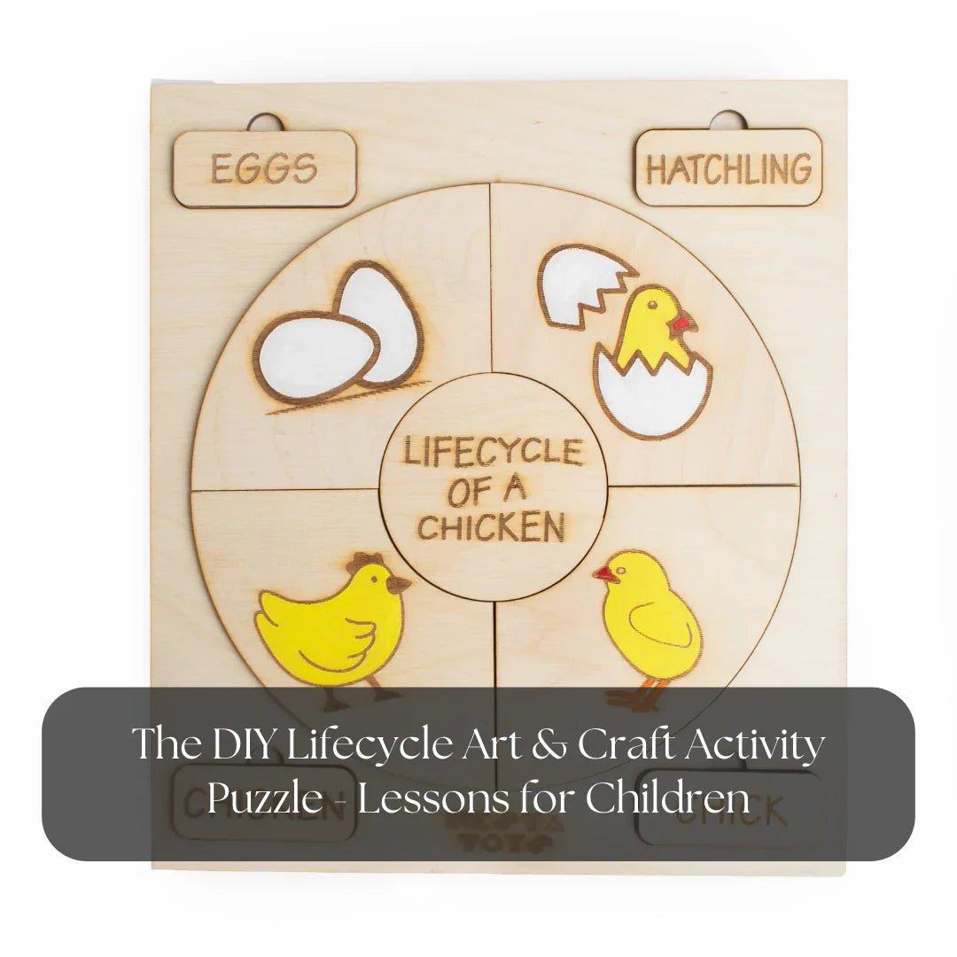 The DIY Lifecycle Art & Craft Activity Puzzle - Lessons for Children - NESTA TOYS