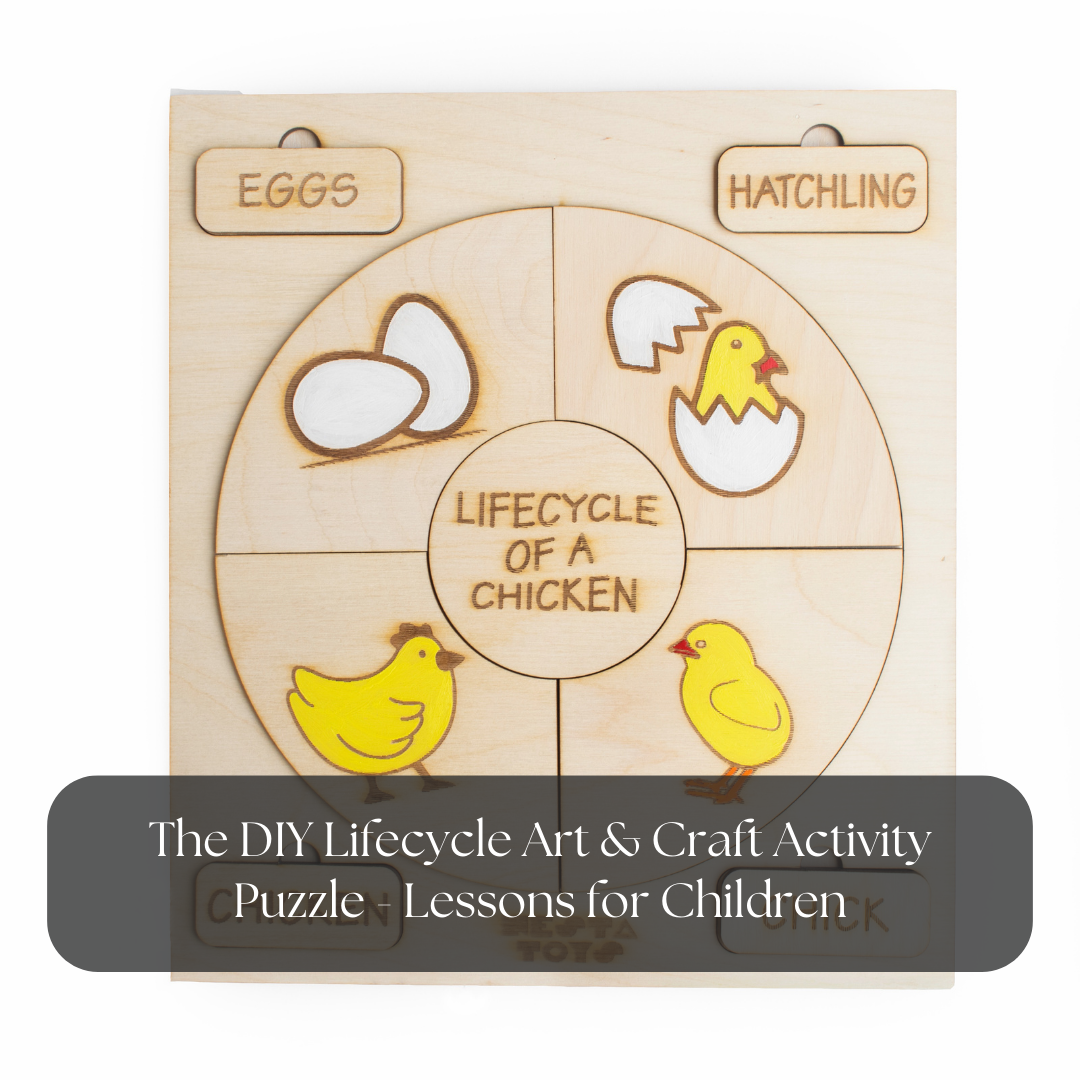 The DIY Lifecycle Art & Craft Activity Puzzle - Lessons for Children, montessori toys