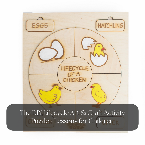 The DIY Lifecycle Art & Craft Activity Puzzle - Lessons for Children