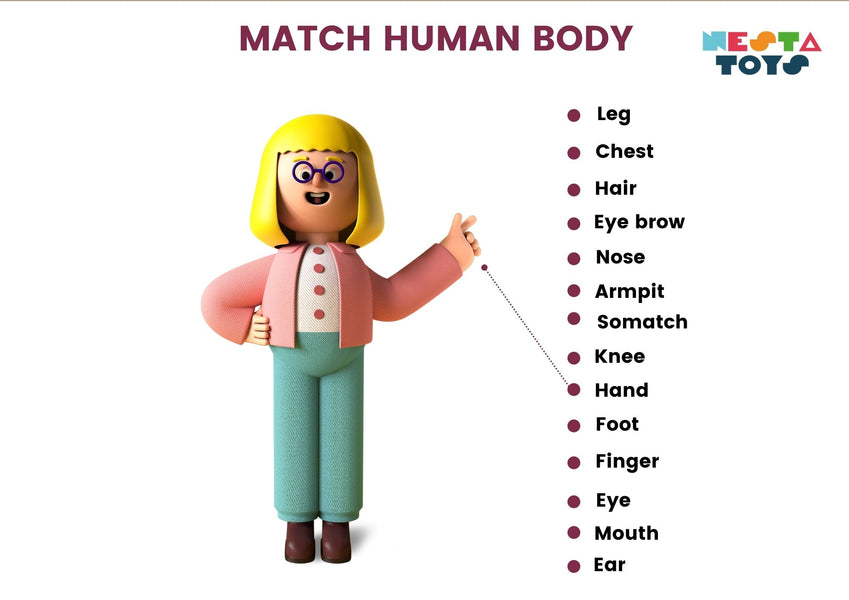 MATCH HUMAN BODY
