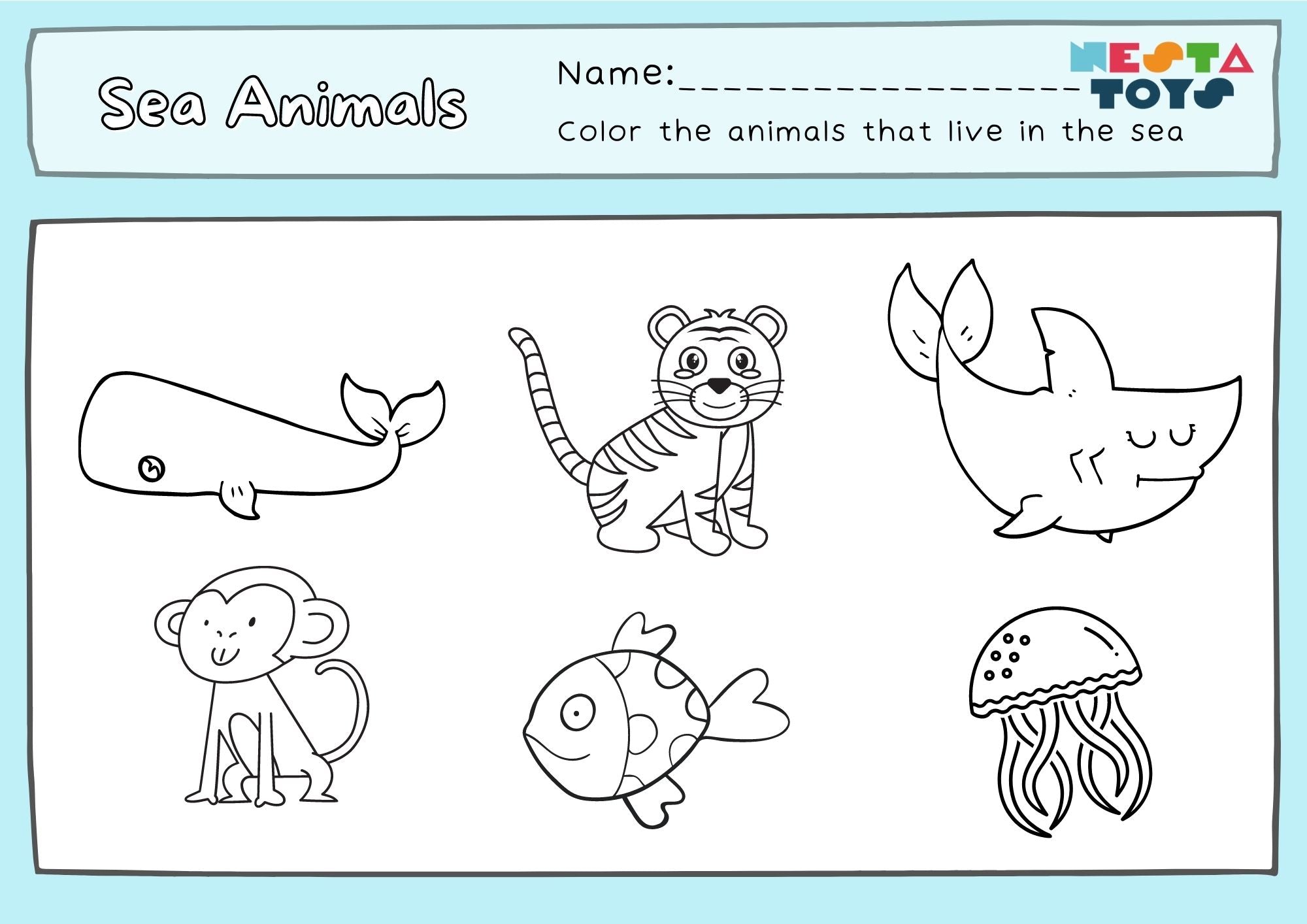 Sea Animals