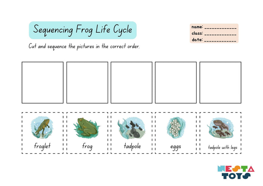 Sequencing Frog Life Cycle