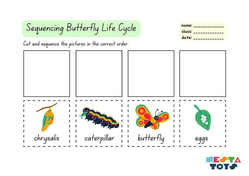 Sequencing Butterfly Life Cycle