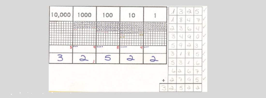 Homeschooling Nuggets: Dot Game in Primary Montessori Mathematics - NESTA TOYS