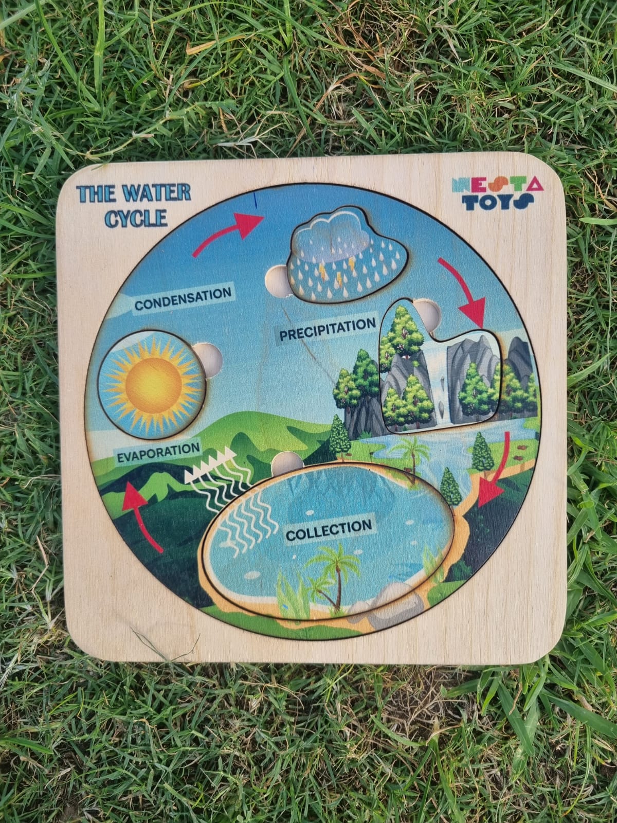 Water Cycle Puzzle