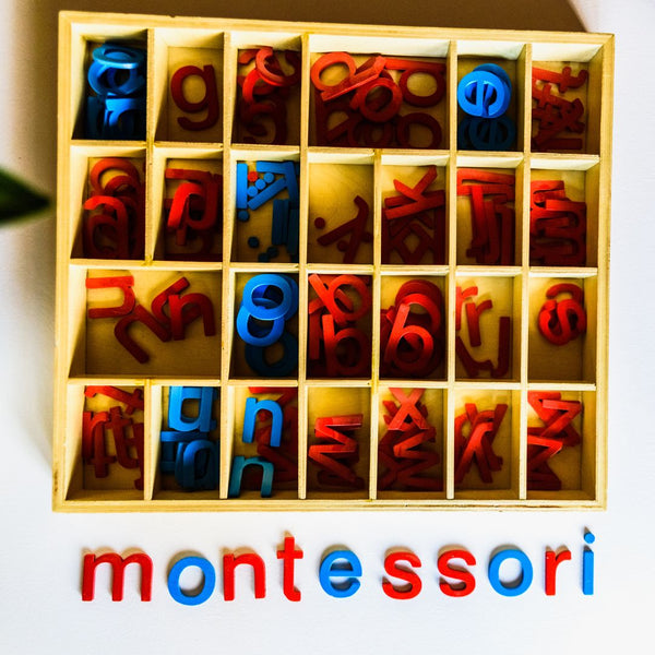 Why Choose Montessori Education?