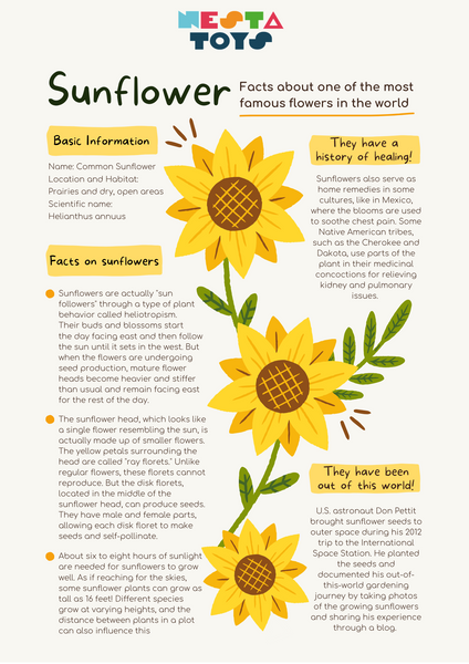 All about your favorite flower - Sunflower