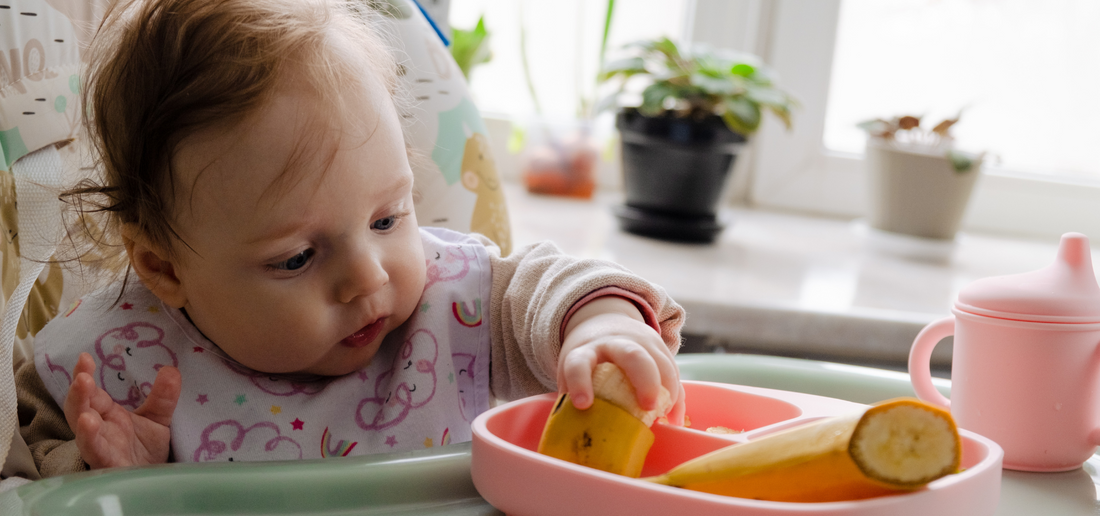 Weaning 101, Weaning Foods For Your Baby, Indian Baby Food Guide