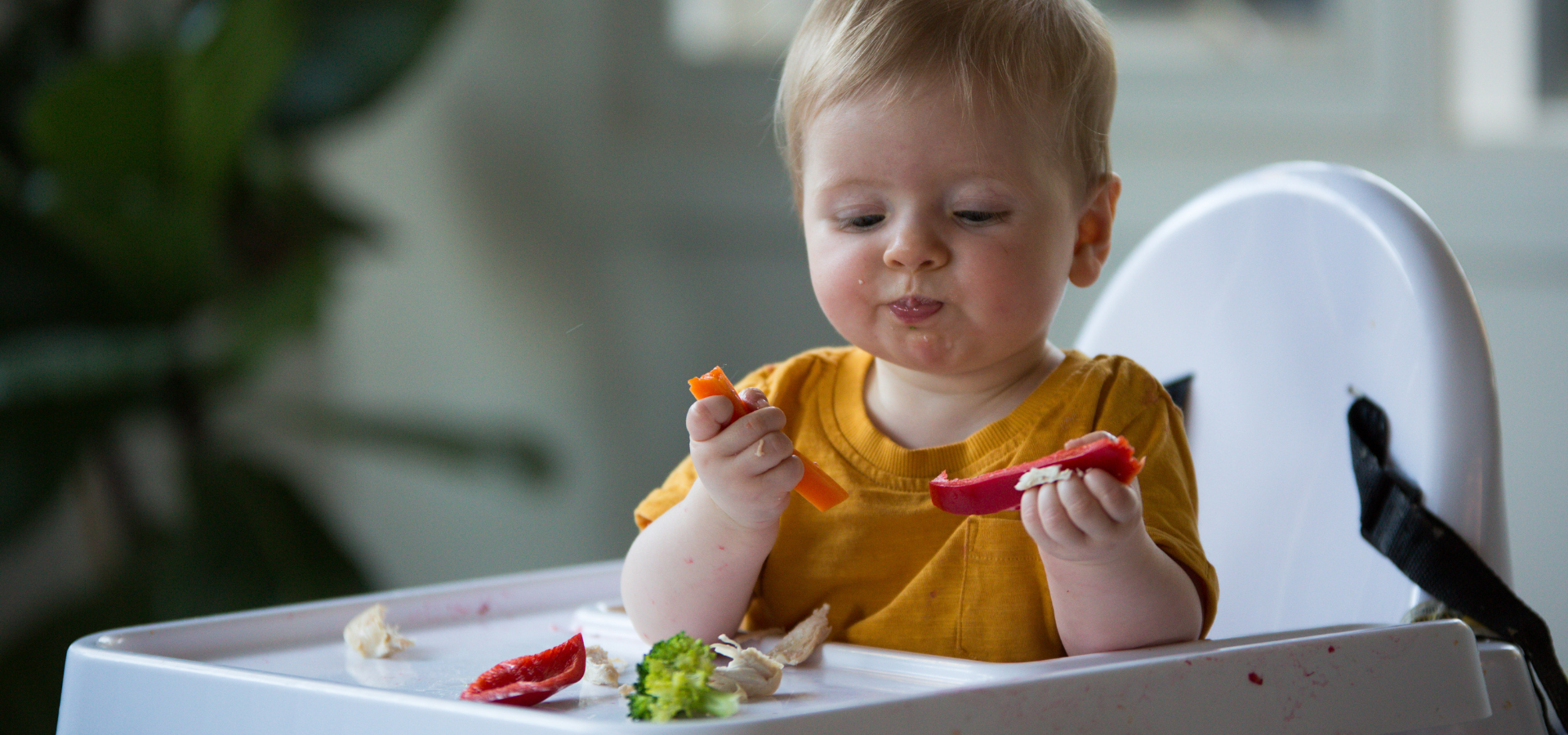 Baby-Led Weaning vs Spoon-Fed Weaning