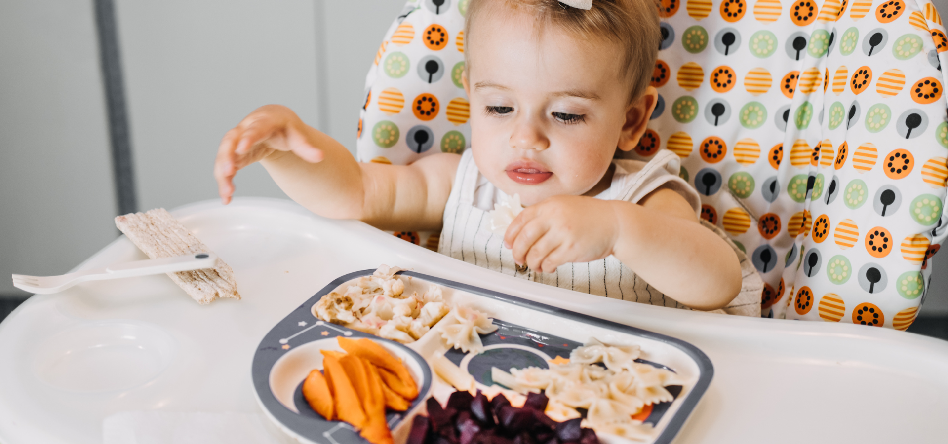 When is the Baby Ready for Solid Food?, Baby-led weaning, baby food