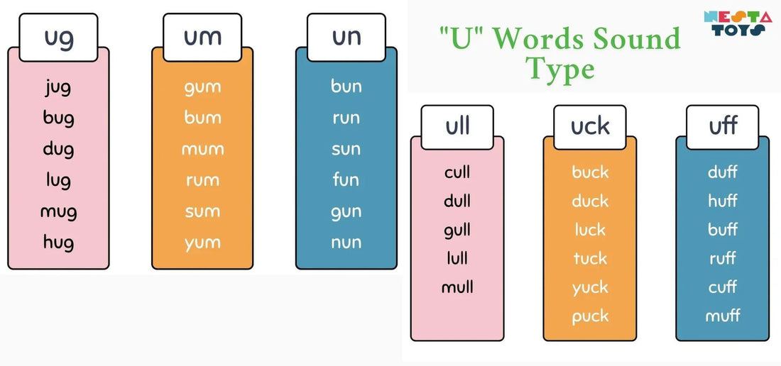 Learn to Read – Phonics: All "U" Words by Sound Type - NESTA TOYS