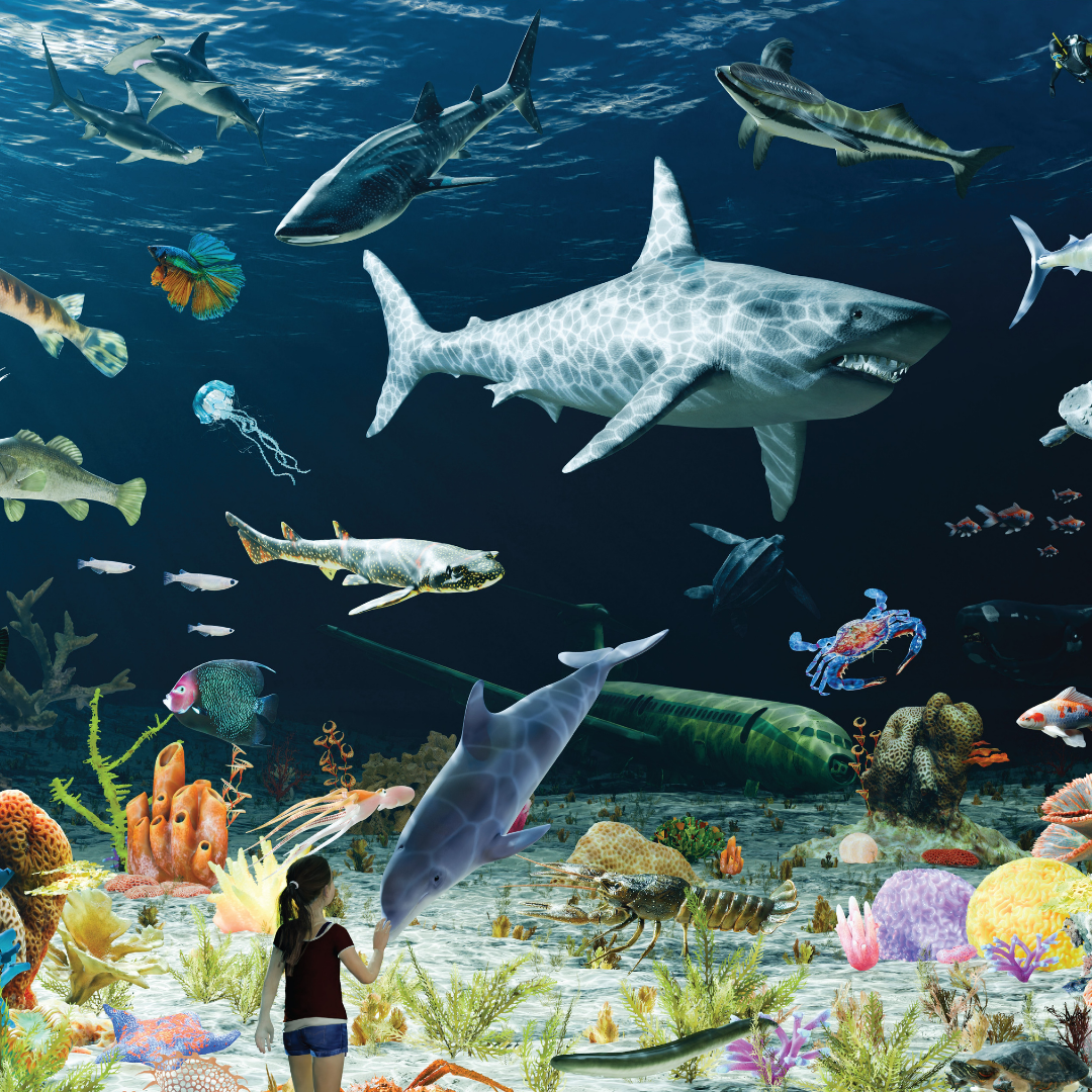 Aquatic Life Jigsaw Puzzle , floor puzzle, nesta toys, 100 pcs puzzle, educational puzzle