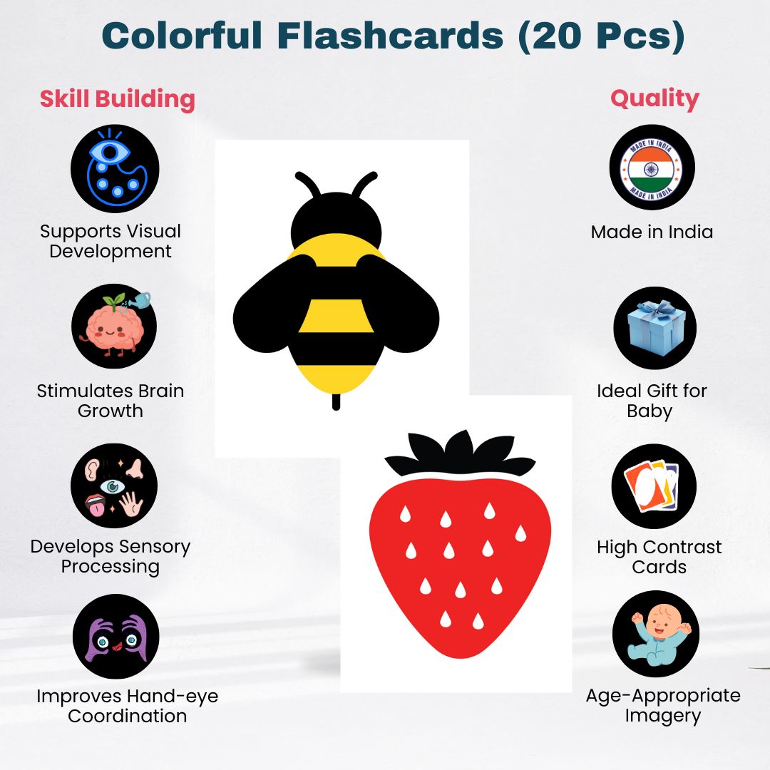 Early Explorer Learning Kit for 6–12 Months Babies (Level 3)