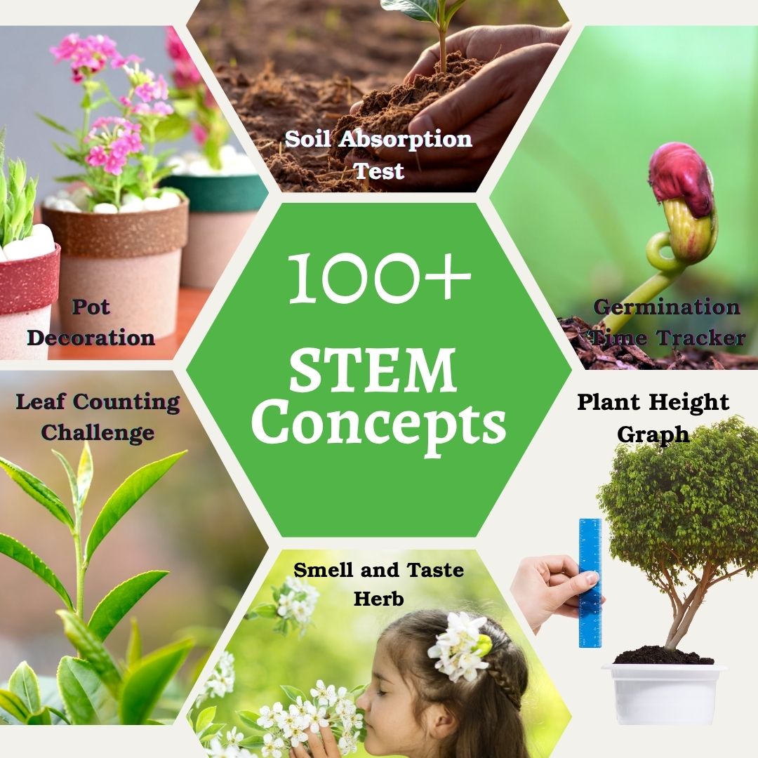 NESTA TOYS Gardening Kit - Flower & Herb Growing STEM Kit 