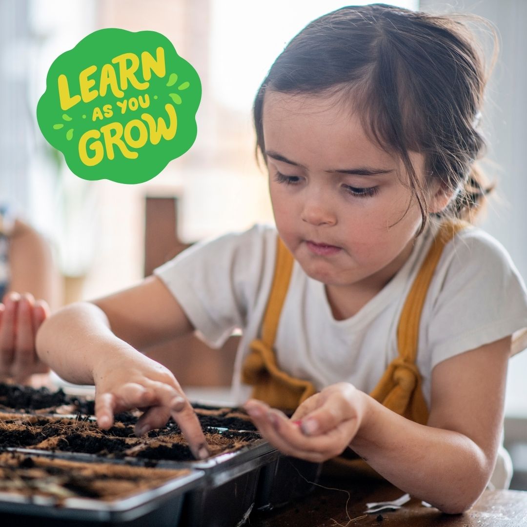 NESTA TOYS Gardening Kit - Flower & Herb Growing STEM Kit 