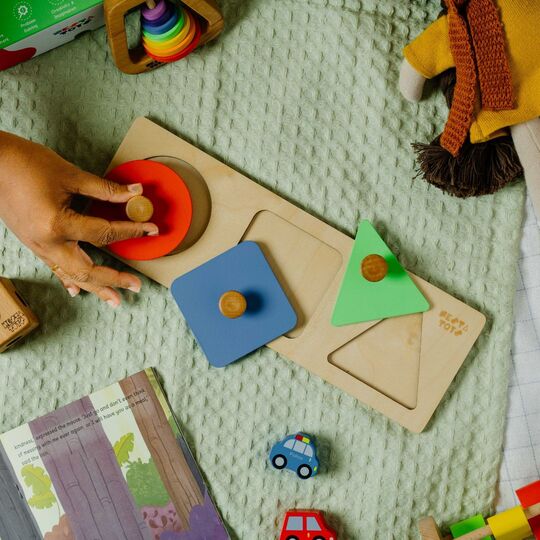 NESTA TOYS Montessori Jumbo Knob Shape Puzzle for Early Math Learning in Babies and Toddlers
