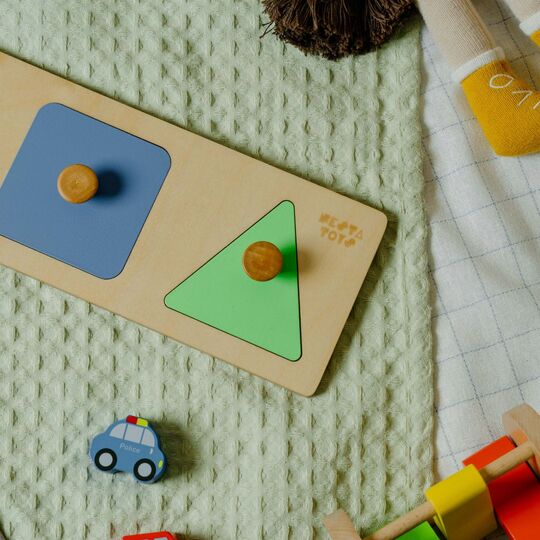 NESTA TOYS Montessori Jumbo Knob Shape Puzzle for Early Math Learning in Babies and Toddlers