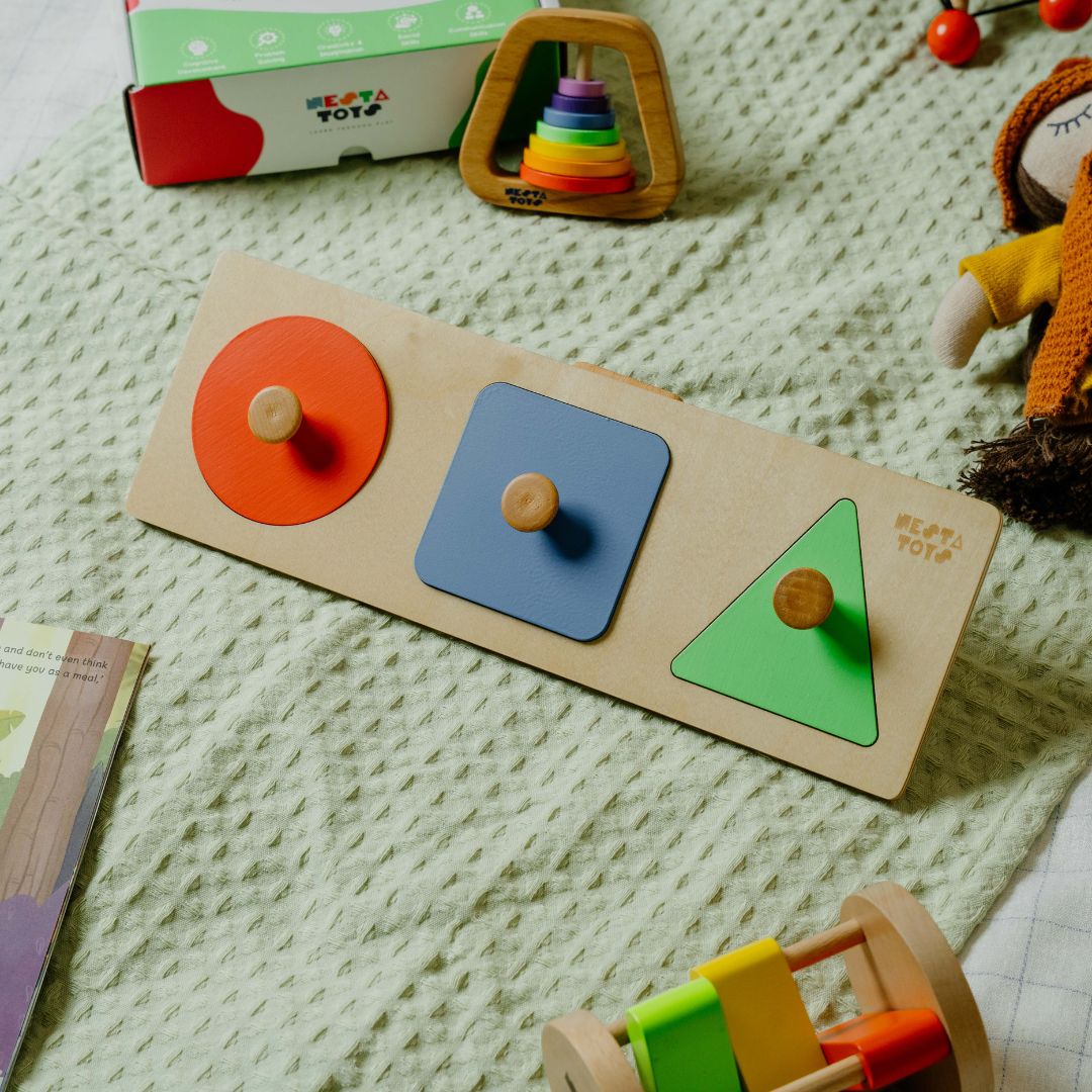 NESTA TOYS Montessori Jumbo Knob Shape Puzzle for Early Math Learning in Babies and Toddlers