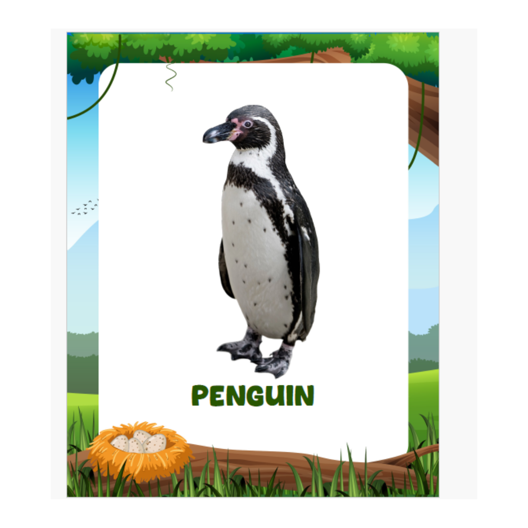 Animal Flashcards (120 Pictures) - nestatoys