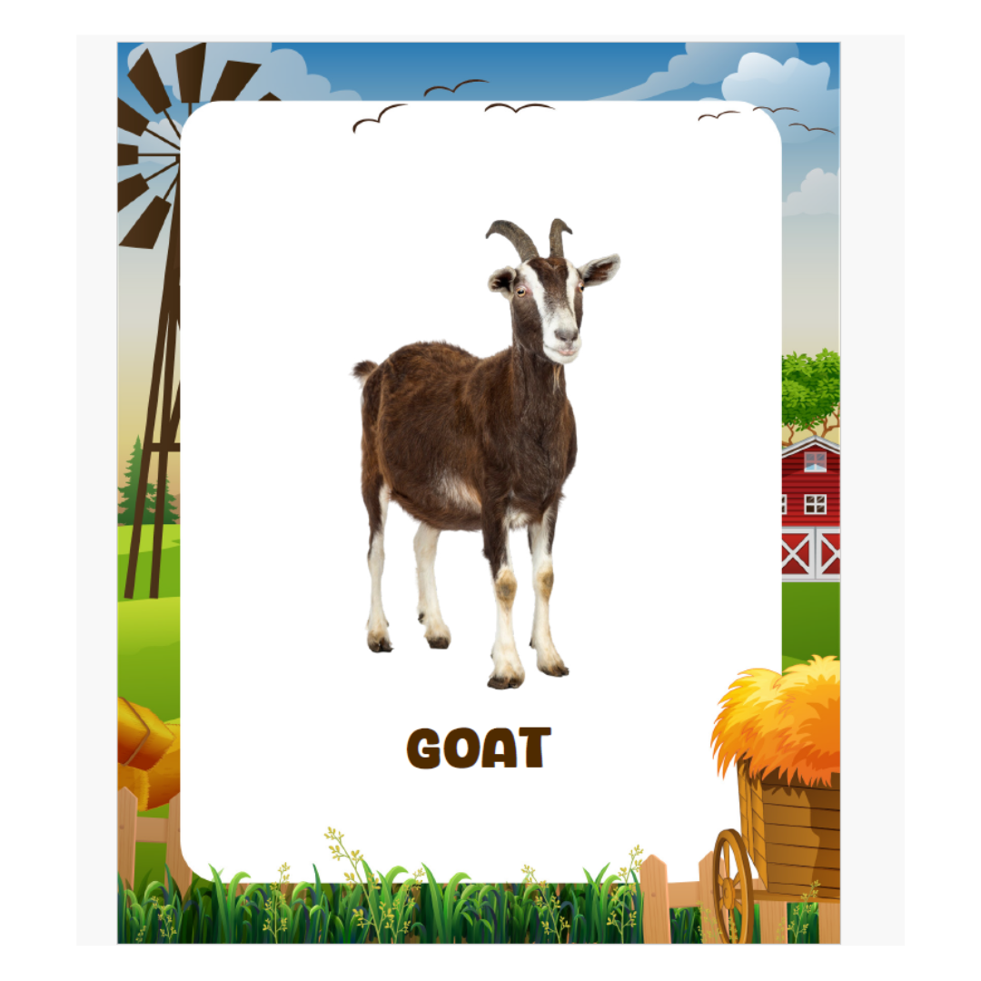 Animal Flashcards (120 Pictures) - nestatoys