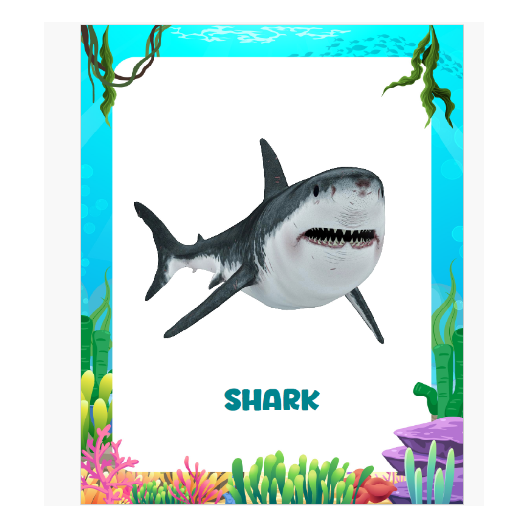 Animal Flashcards (120 Pictures) - nestatoys
