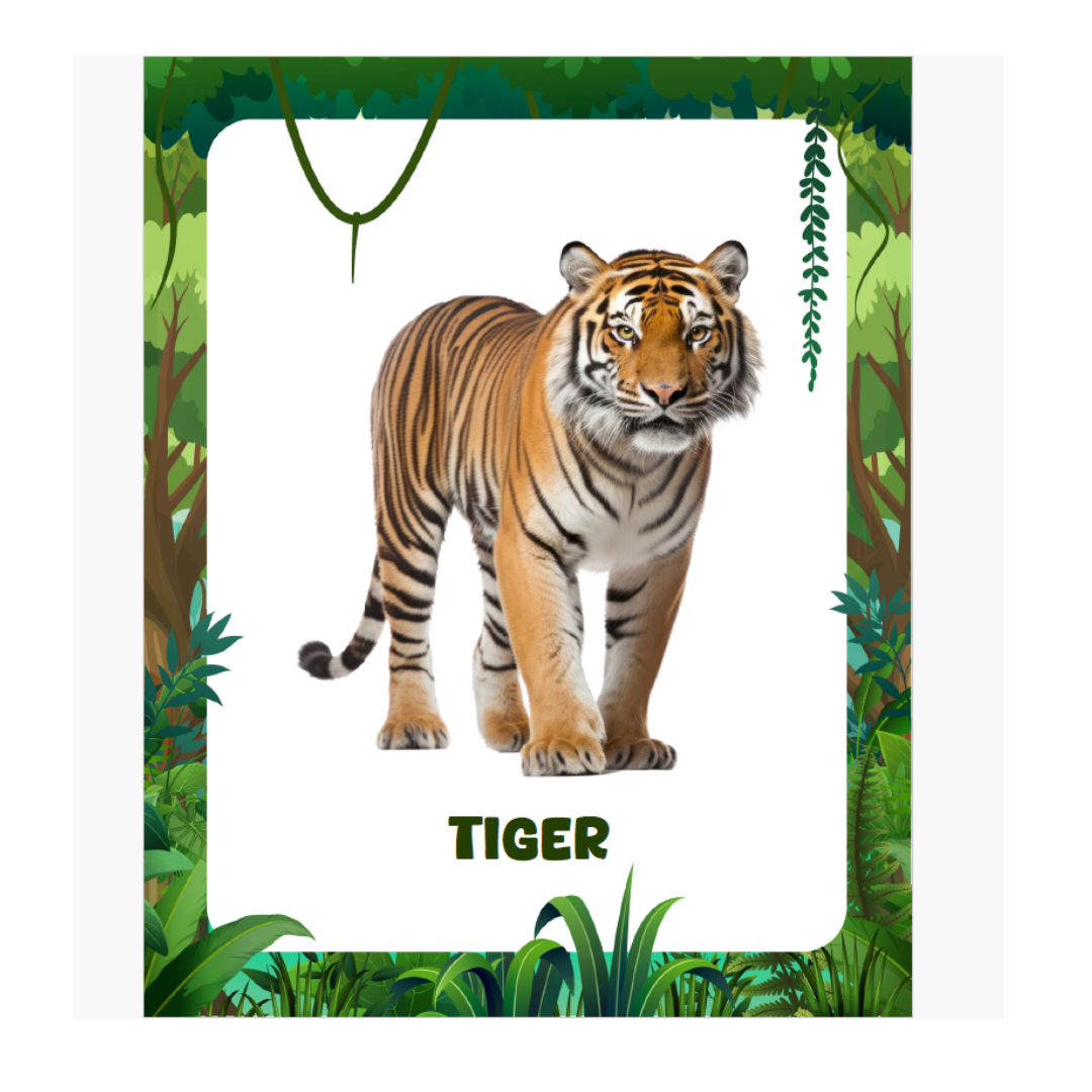 Animal Flashcards (120 Pictures) - nestatoys