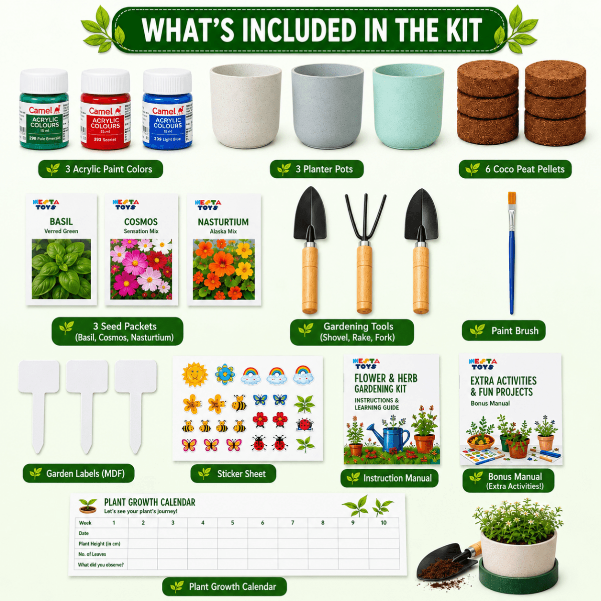 Gardening Kit - Flower & Herb Growing STEM Kit - NESTA TOYS