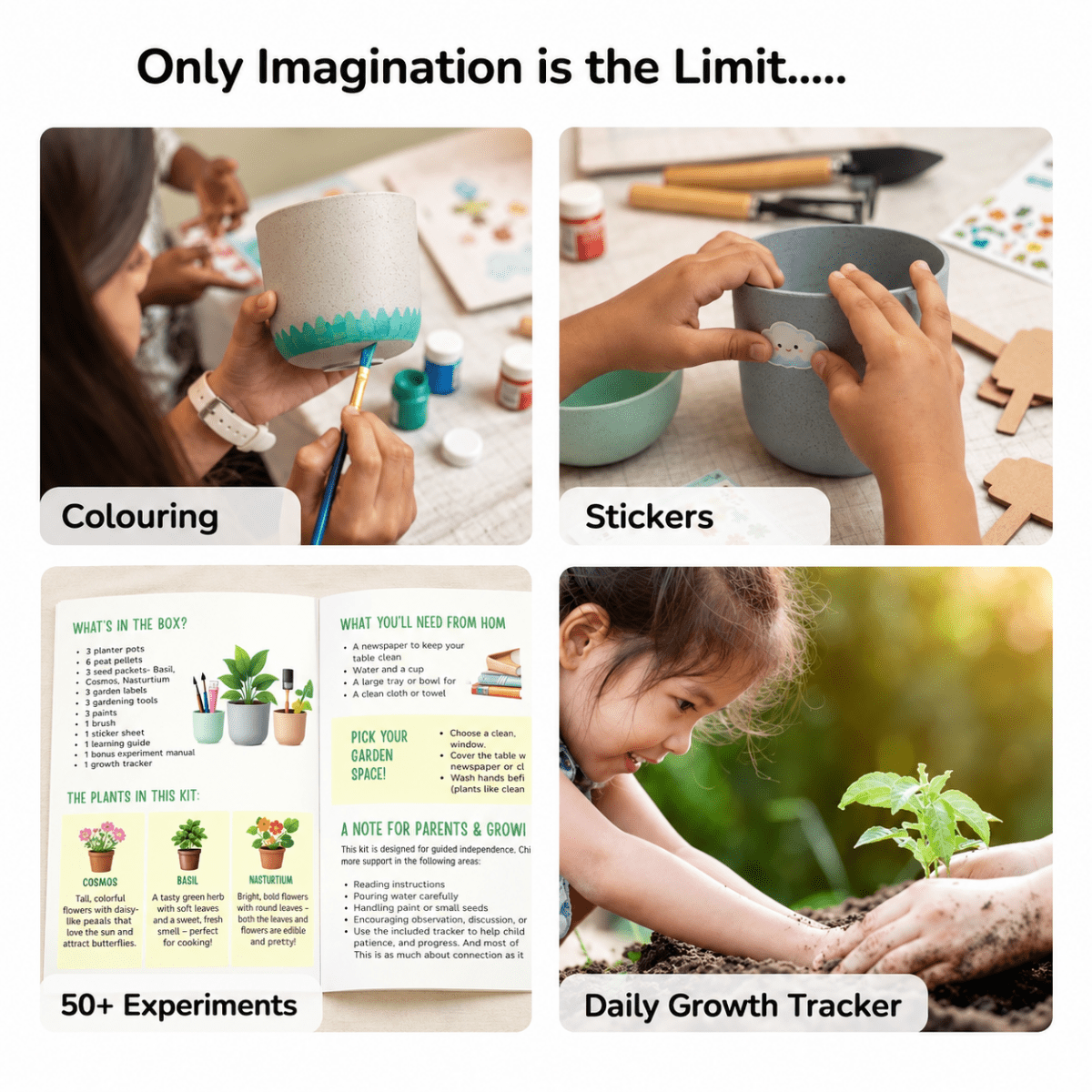 Gardening Kit - Flower & Herb Growing STEM Kit - NESTA TOYS