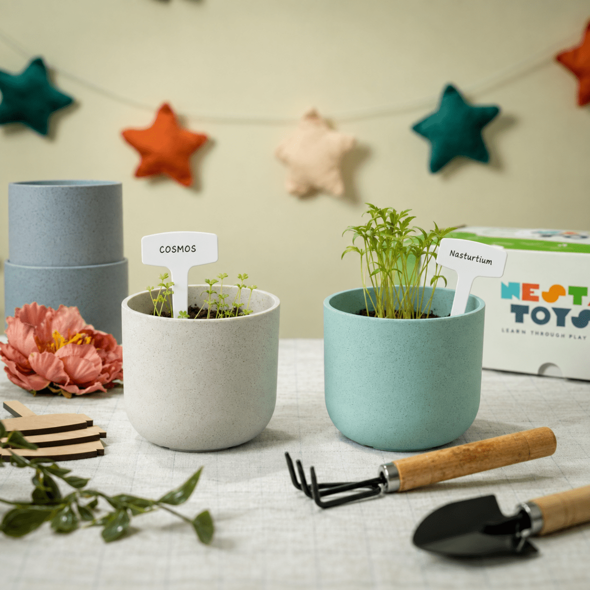 Gardening Kit - Flower & Herb Growing STEM Kit - NESTA TOYS