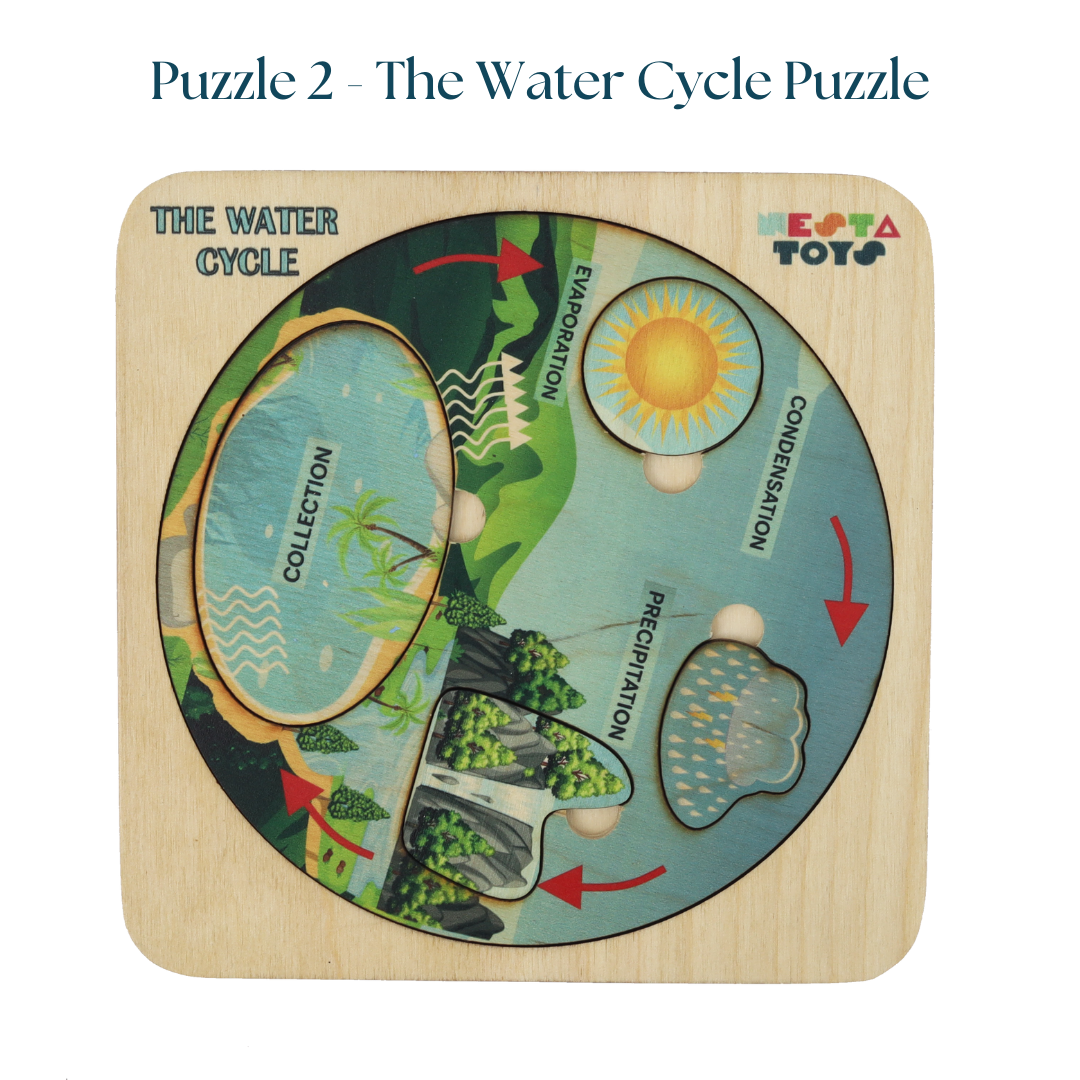 Educational toys, STEM toys Learning Toy, Montessori Wooden puzzle, shape sorter toys, Earth Core puzzle, Water Cycle puzzle, Ocean Layer Puzzle, geography puzzles, continent puzzle