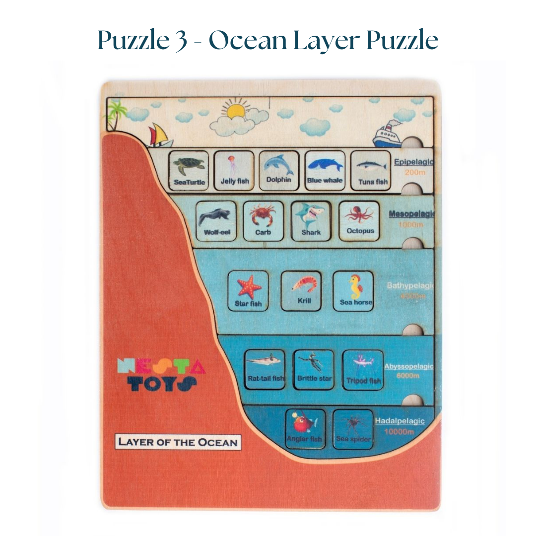 Educational toys, STEM toys Learning Toy, Montessori Wooden puzzle, shape sorter toys, Earth Core puzzle, Water Cycle puzzle, Ocean Layer Puzzle, geography puzzles, continent puzzle