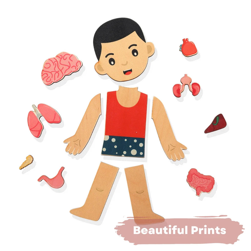 Human Body | Internal Organs Wooden Puzzle - nestatoys