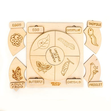 Montessori toys, Life Cycle Puzzles, wooden puzzle, puzzle for kids, gifts for kids, DIY activities kids, Colouring Activity, Life Cycle Tray, Toddler Wooden Jigsaw Puzzle Toys, Frog, Plant, Chicken & Butterfly, Educational Toys, , Channapatna toys, sawantwadi, kondapalli, made in India toys