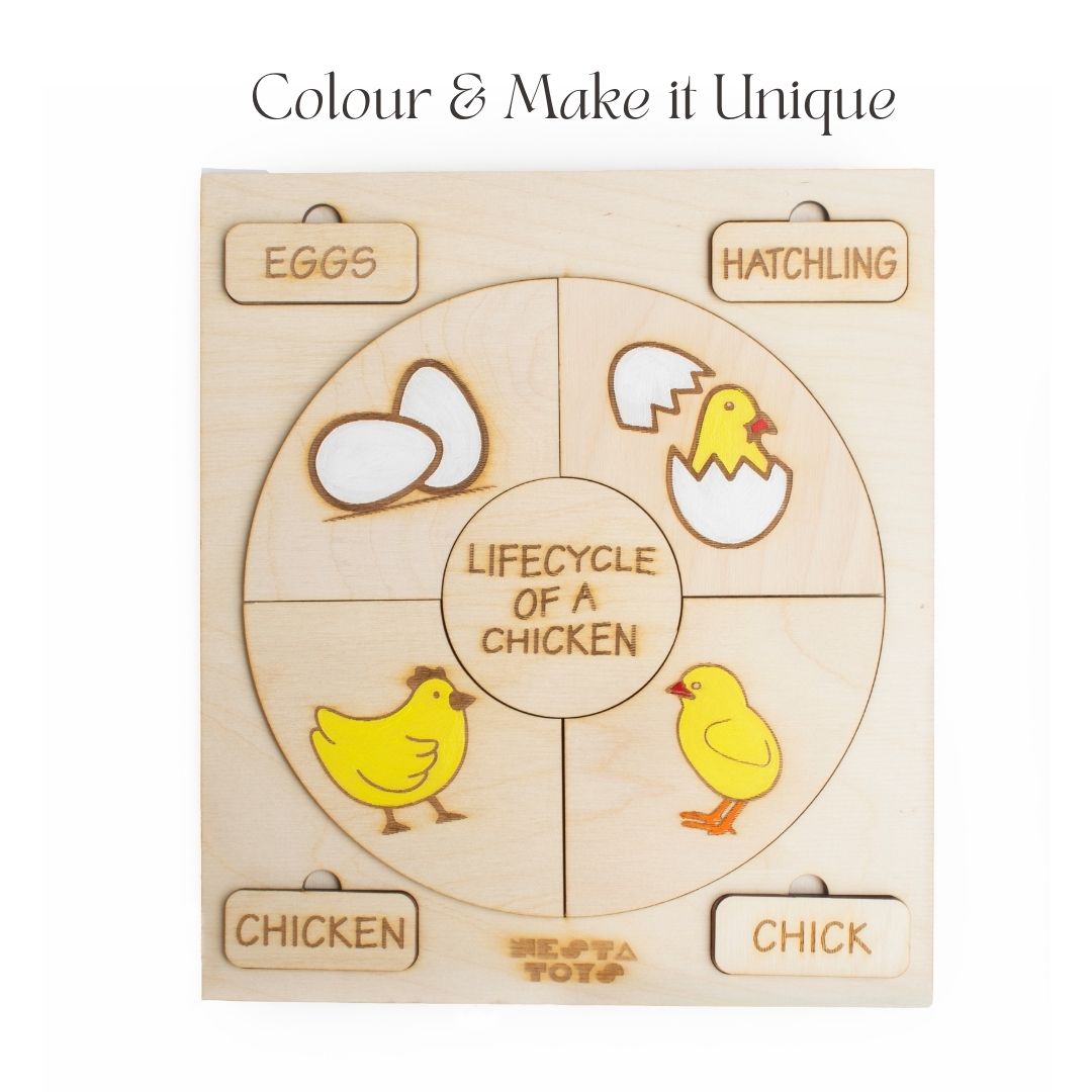 Montessori toys, Life Cycle Puzzles, wooden puzzle, puzzle for kids, gifts for kids, DIY activities kids, Colouring Activity, Life Cycle Tray, Toddler Wooden Jigsaw Puzzle Toys, Frog, Plant, Chicken & Butterfly, Educational Toys