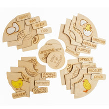 Load image into Gallery viewer, Montessori toys, Life Cycle Puzzles, wooden puzzle, puzzle for kids, gifts for kids, DIY activities kids, Colouring Activity, Life Cycle Tray, Toddler Wooden Jigsaw Puzzle Toys, Frog, Plant, Chicken &amp; Butterfly, Educational Toys
