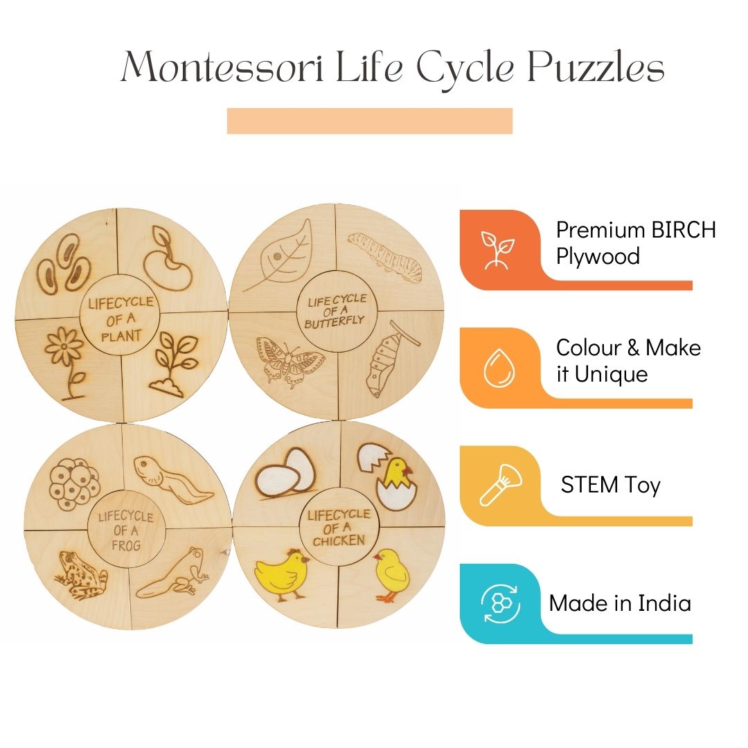 Montessori toys, Life Cycle Puzzles, wooden puzzle, puzzle for kids, gifts for kids, DIY activities kids, Colouring Activity, Life Cycle Tray, Toddler Wooden Jigsaw Puzzle Toys, Frog, Plant, Chicken & Butterfly, Educational Toys