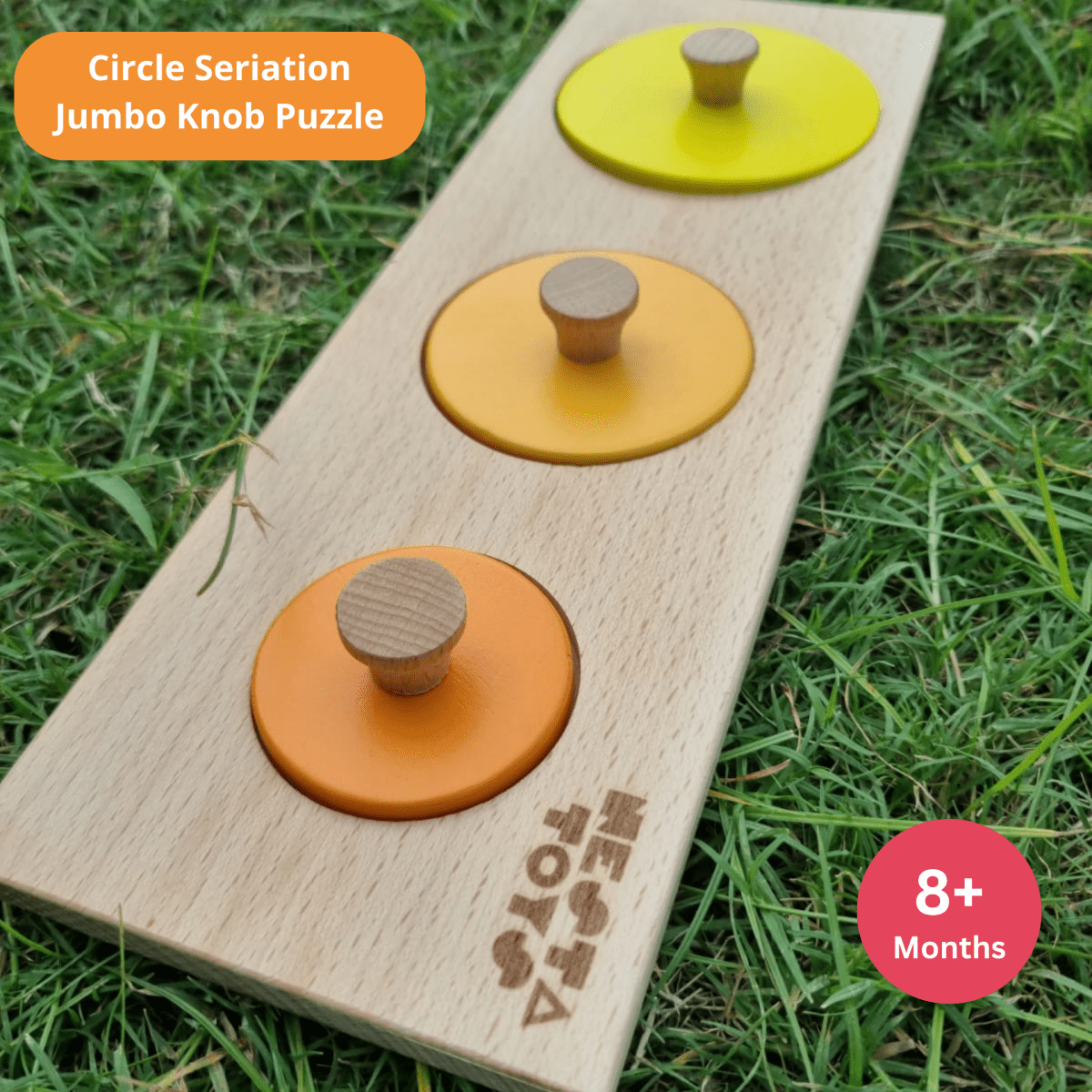 Montessori Circle Seriation Puzzle - NESTA TOYS
