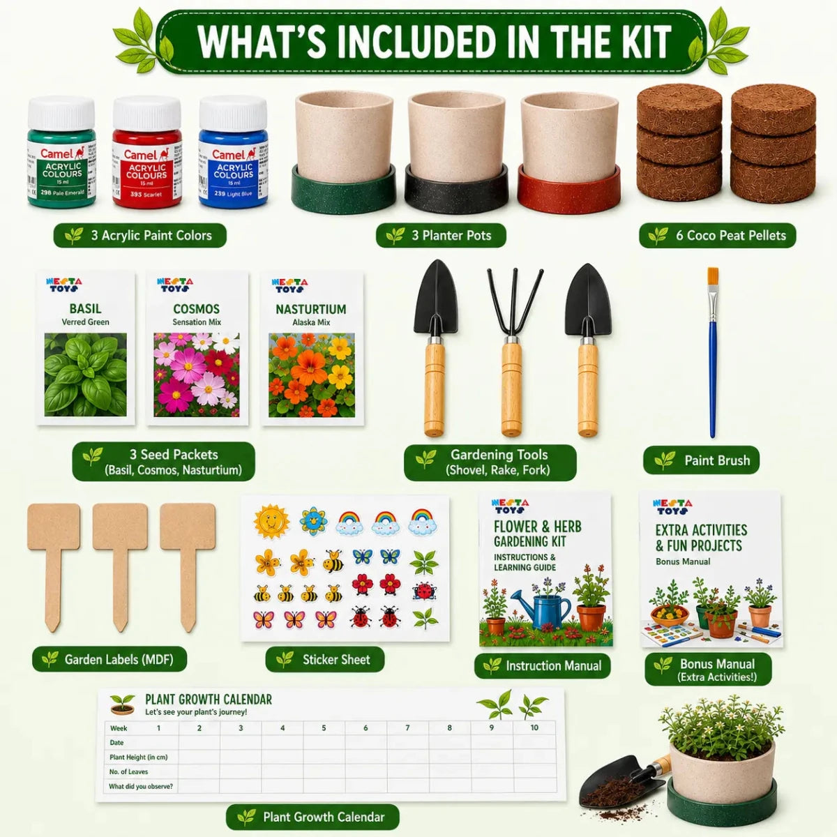 Gardening Kit - Flower & Herb Growing STEM Kit - NESTA TOYS