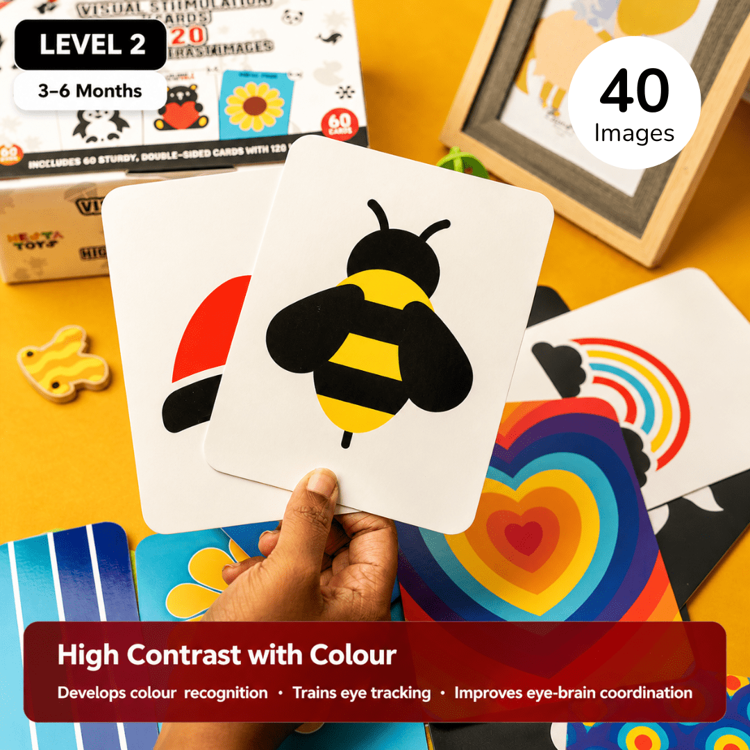 Visual Stimulation Learning Activity Card for Babies - NESTA TOYS