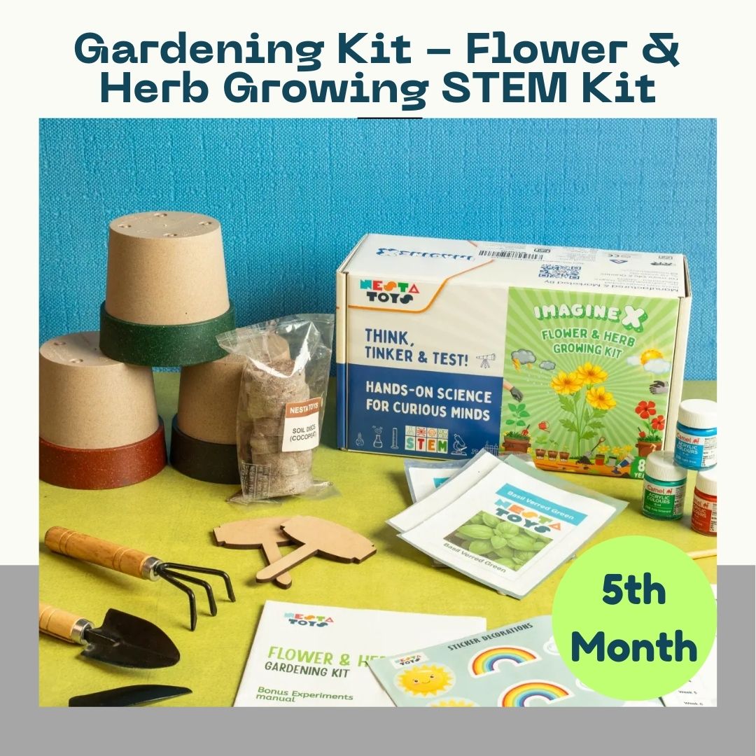 Creative Explorer Monthly DIY Art & Craft Kit for Kids (6 Kits | 6 Months) - NESTA TOYS