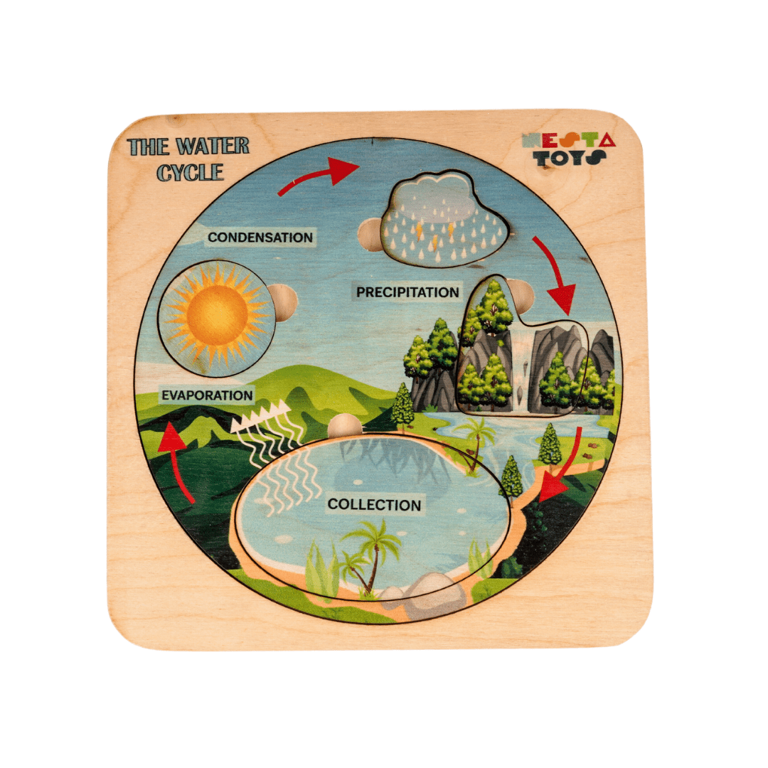 NESTA TOYS - Montessori Wooden Water Cycle Puzzle | Educational STEM Learning Toy - NESTA TOYS