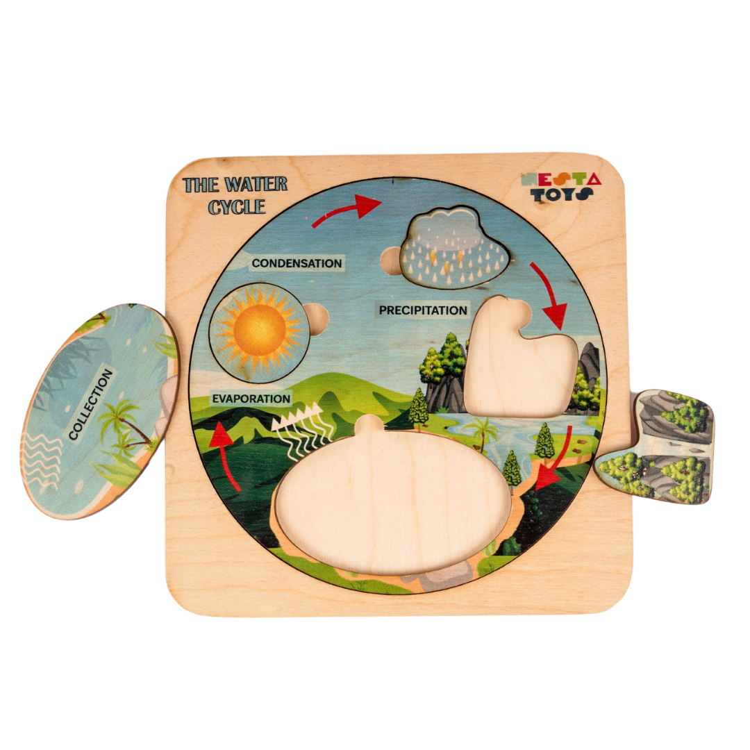 NESTA TOYS - Montessori Wooden Water Cycle Puzzle | Educational STEM Learning Toy - nestatoys