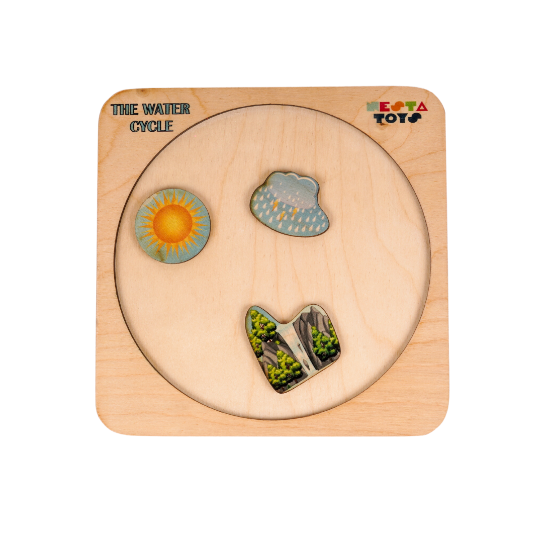 NESTA TOYS - Montessori Wooden Water Cycle Puzzle | Educational STEM Learning Toy - nestatoys