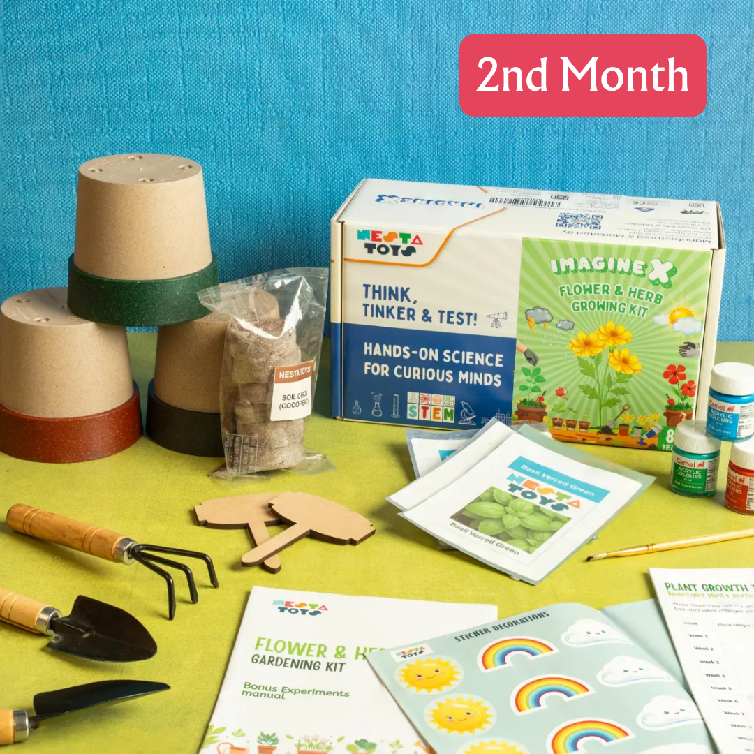 STEM Explorer Box for Kids – 5 Month Educational Activity Kit Program - NESTA TOYS