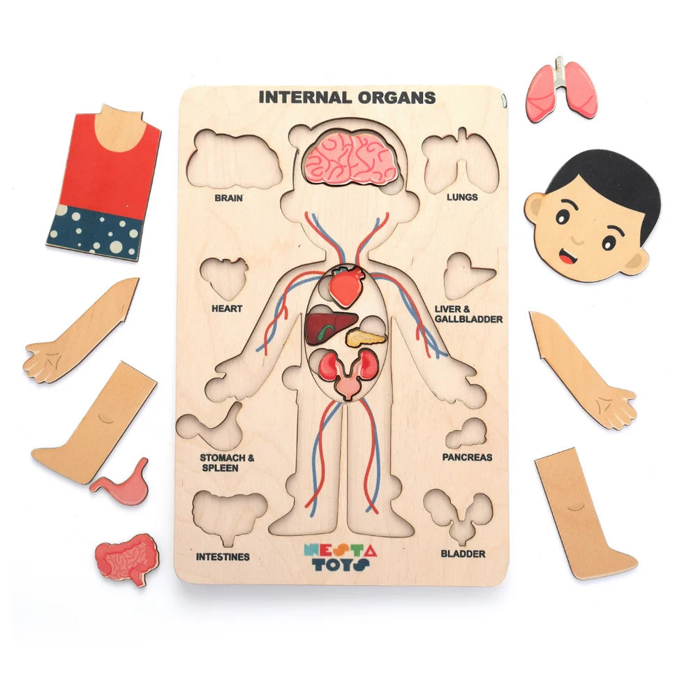 NESTA TOYS Human Body | Internal Organs Wooden Puzzle