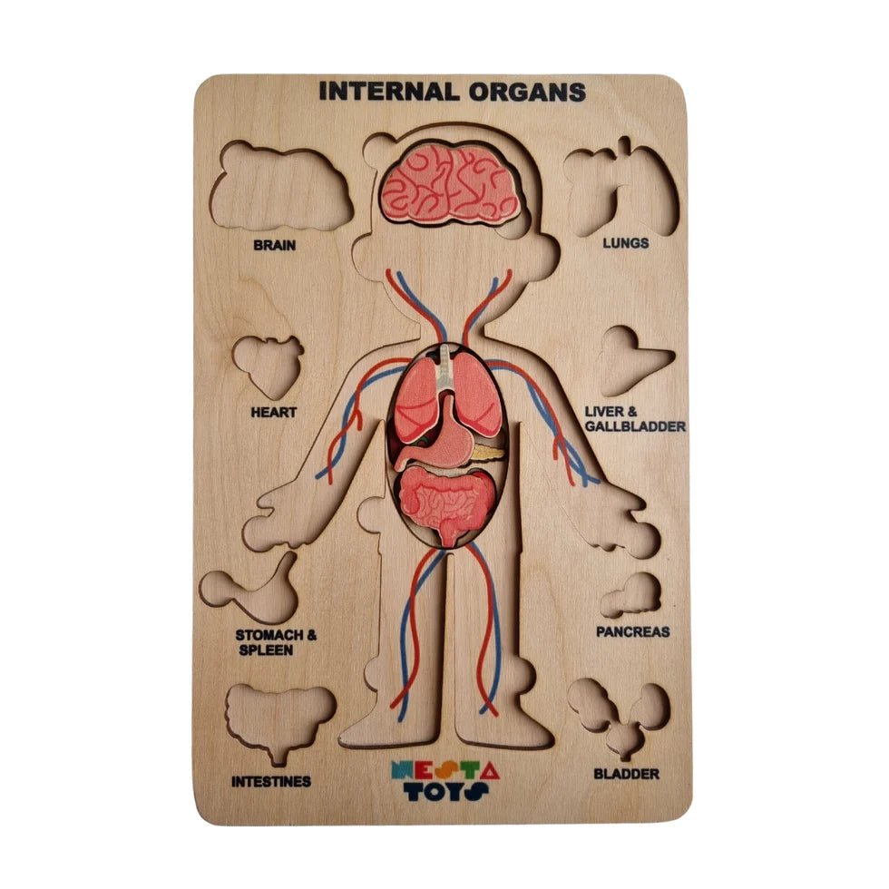 Human Body | Internal Organs Wooden Puzzle - NESTA TOYS